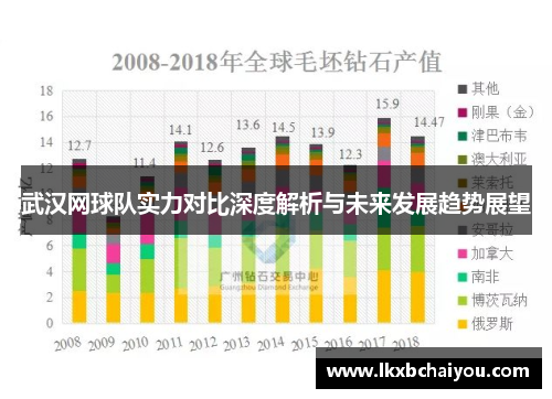 武汉网球队实力对比深度解析与未来发展趋势展望