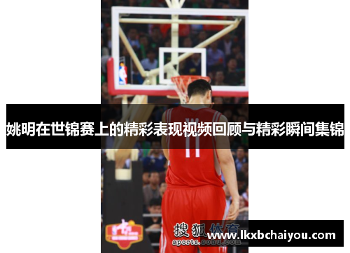 姚明在世锦赛上的精彩表现视频回顾与精彩瞬间集锦