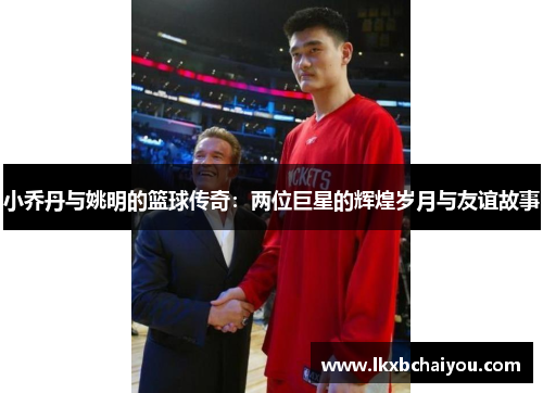 小乔丹与姚明的篮球传奇：两位巨星的辉煌岁月与友谊故事